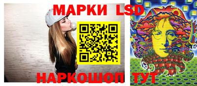 мдпв Камышлов