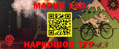 мдпв Камышлов