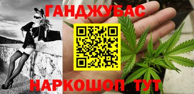 мдпв Камышлов