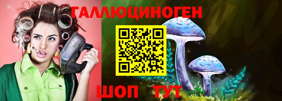 Псилоцибиновые грибы прущие грибы  Вход с VPN  Кызыл 