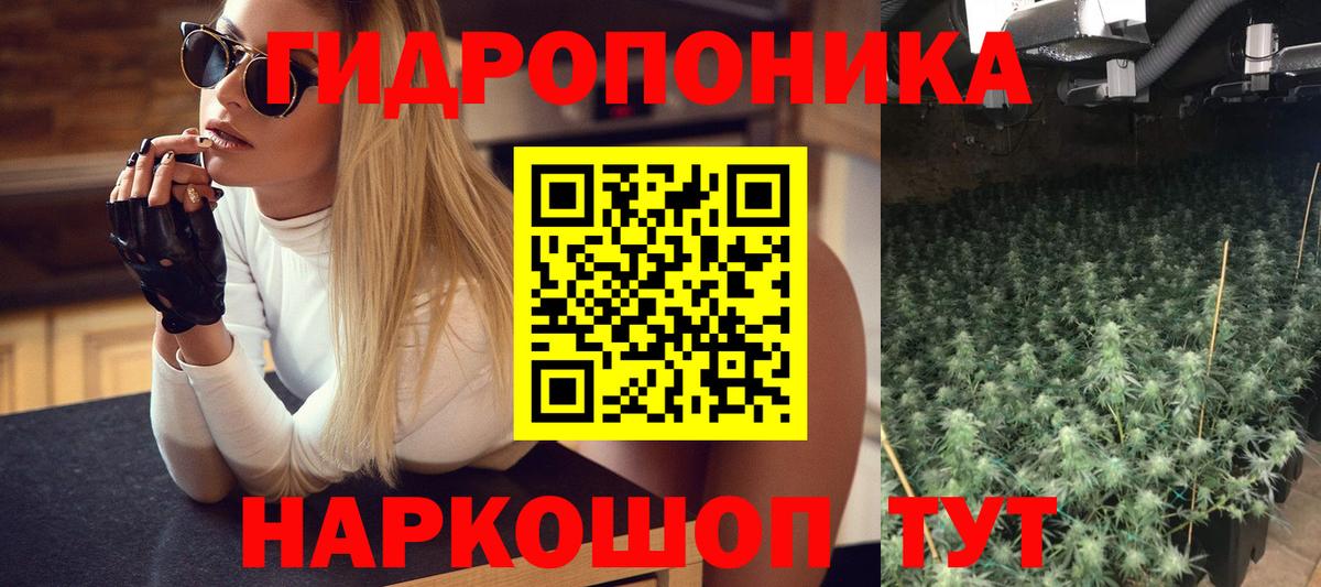 Каннабис Bruce Banner  МАРИХУАНА ГИДРОПОН  Марихуана SATIVA & INDICA  Бошки марихуана ГИДРОПОН  Кызыл  Вход с VPN 